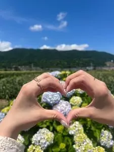 開成あじさいの里