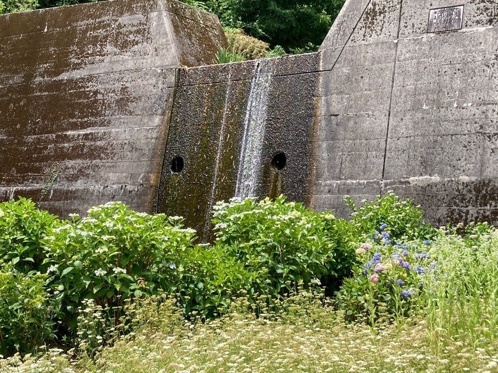 うーとらマンさんが投稿した菖蒲園に関する口コミの画像
