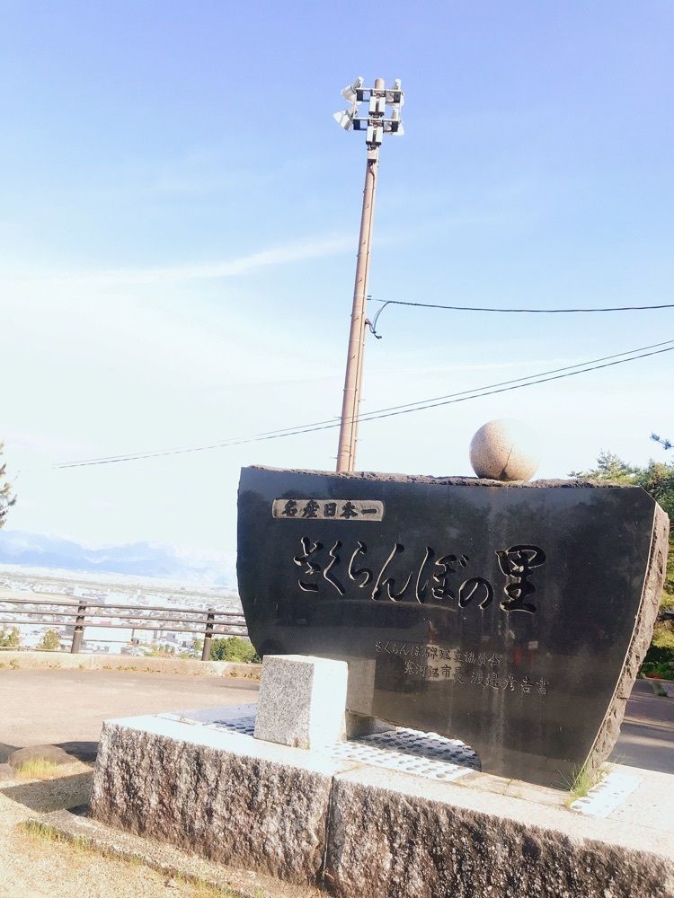 猫なぎ。さんが投稿した寒河江市郷土館に関する口コミの画像
