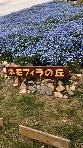 せんなん里海公園