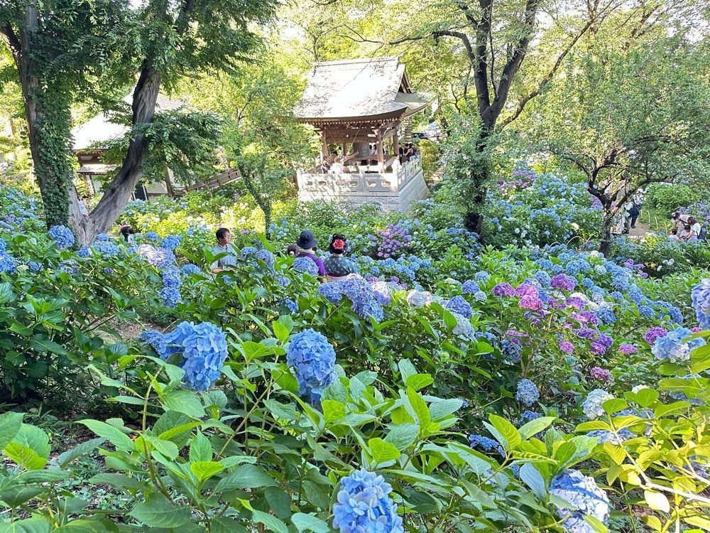 かつさんが投稿した妙楽寺に関する口コミの画像