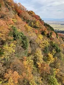 弥彦山