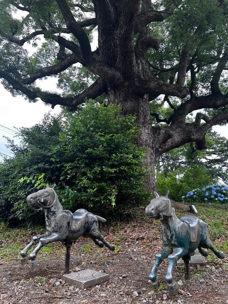 asomogさんが投稿した小田原市郷土文化館に関する口コミの画像