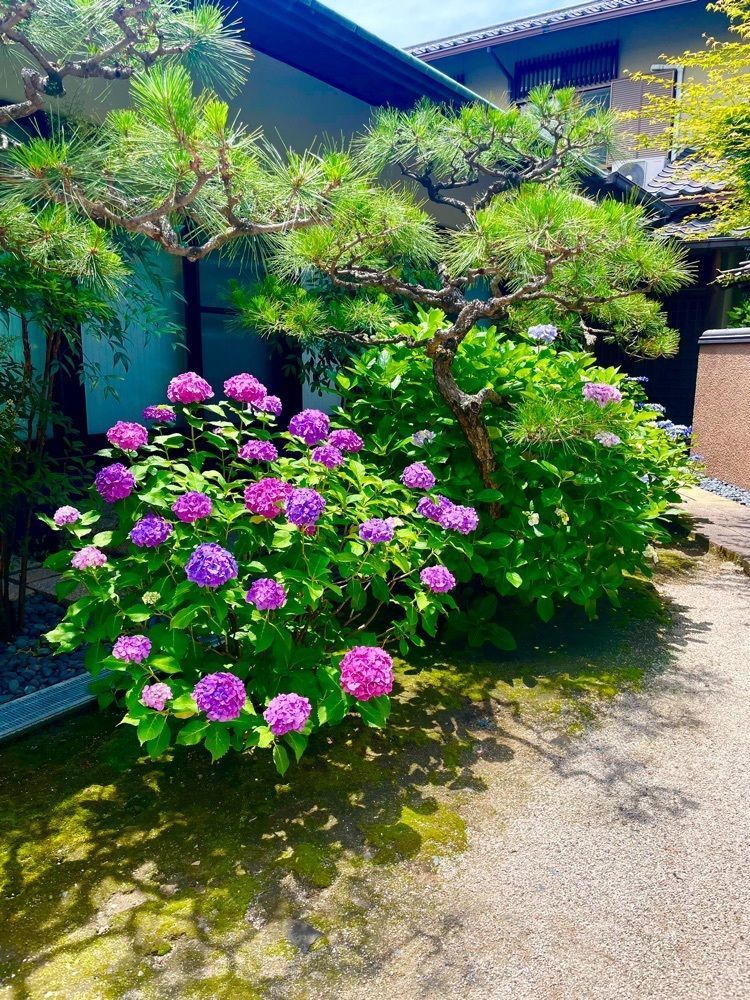 luckyさんが投稿した恵光院に関する口コミの画像