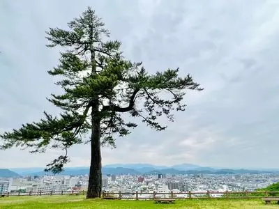 鳥取城跡