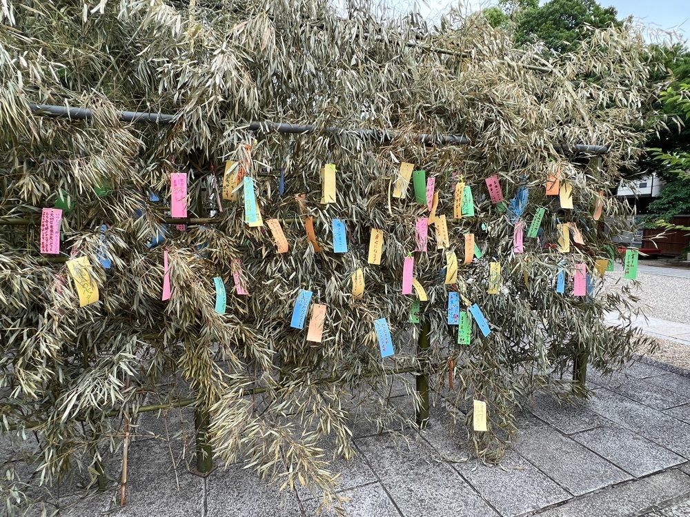 yuyuさんが投稿した播磨国総社射楯兵主神社に関する口コミの画像