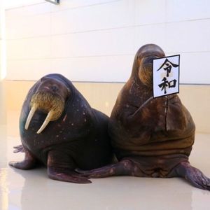 鳥羽水族館