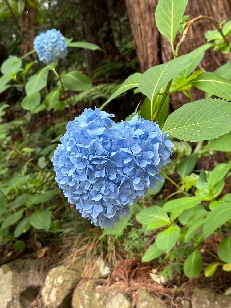 iamMAI83さんが投稿したBABEL 858（バベル ハチゴハチ）に関する口コミの画像