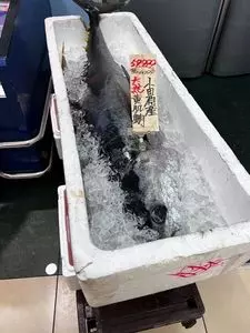 ヤオマサ クイーンズマート・ヤオマサ