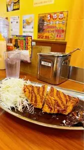 ゴーゴーカレー 小田原中央通店
