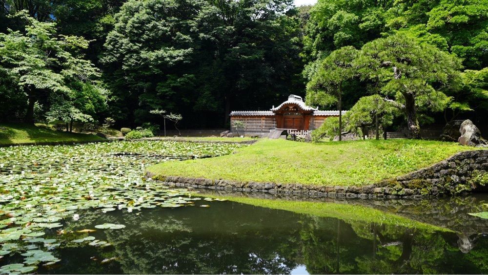 jamesさんが投稿した内庭（小石川後楽園）に関する口コミの画像