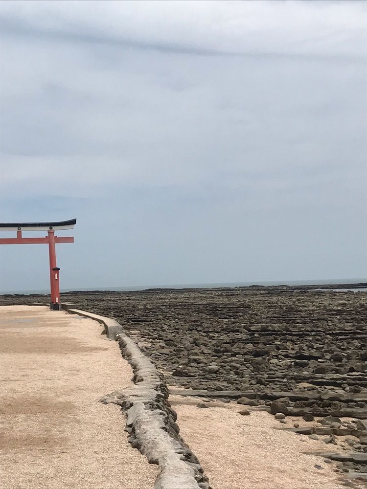 TC⭐️さんが投稿した青島（宮崎県宮崎市）に関する口コミの画像