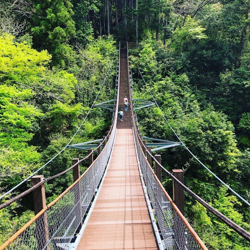 よぴらさんが投稿した接岨峡温泉に関する口コミの画像