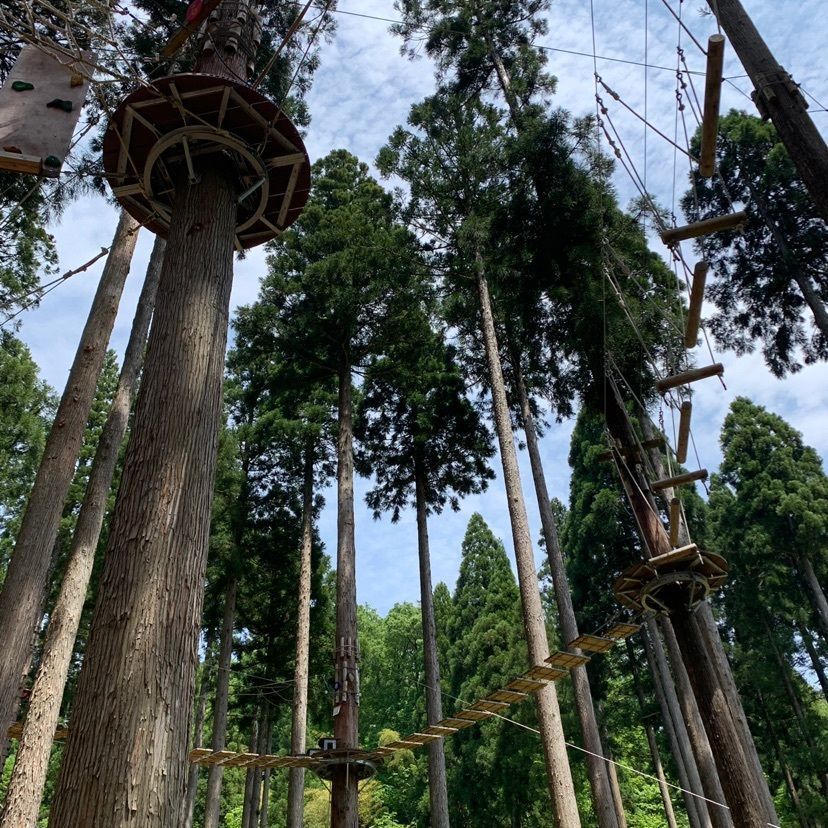 emotional_garden_a66cさんが投稿したTree Picnic Adventure IKEDAに関する口コミの画像