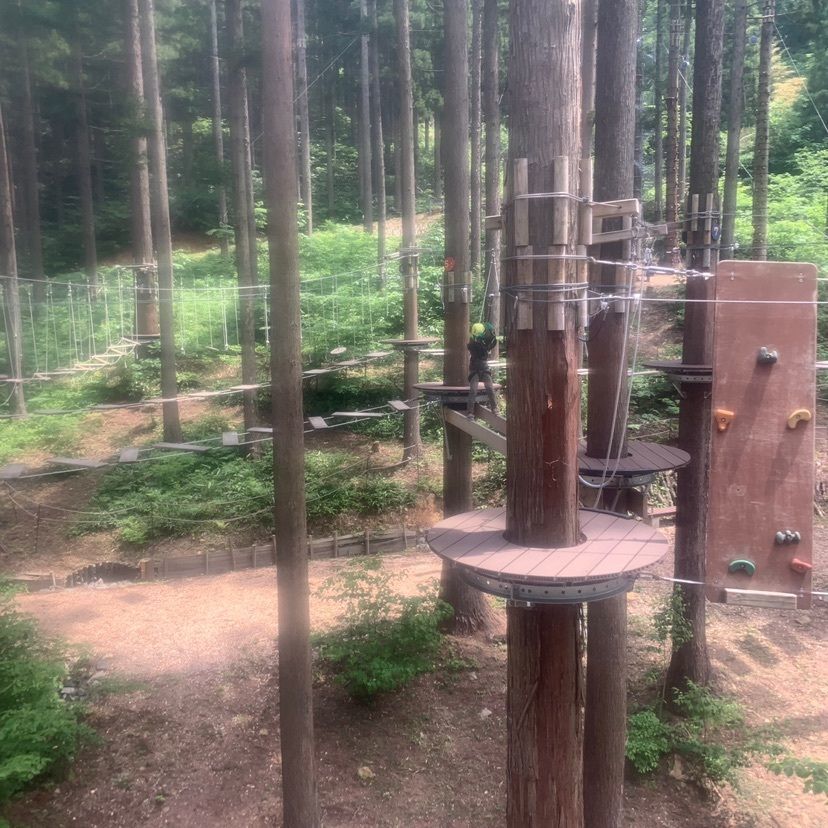 emotional_garden_a66cさんが投稿したTree Picnic Adventure IKEDAに関する口コミの画像