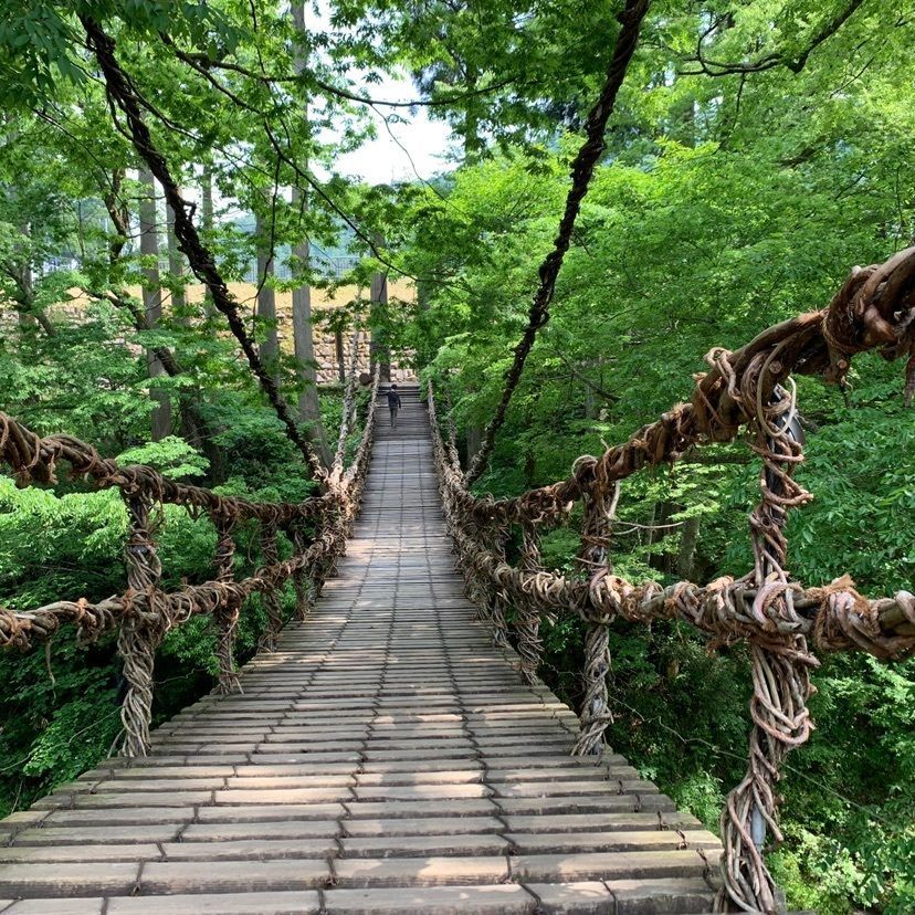 emotional_garden_a66cさんが投稿したTree Picnic Adventure IKEDAに関する口コミの画像