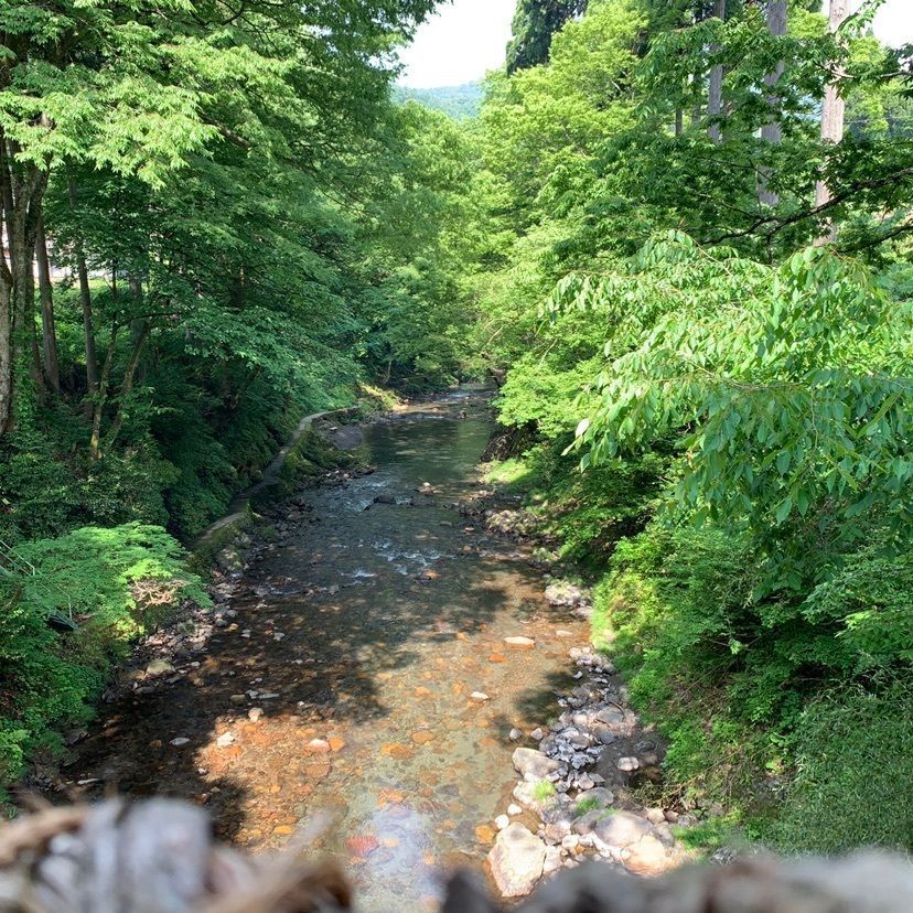 emotional_garden_a66cさんが投稿したTree Picnic Adventure IKEDAに関する口コミの画像