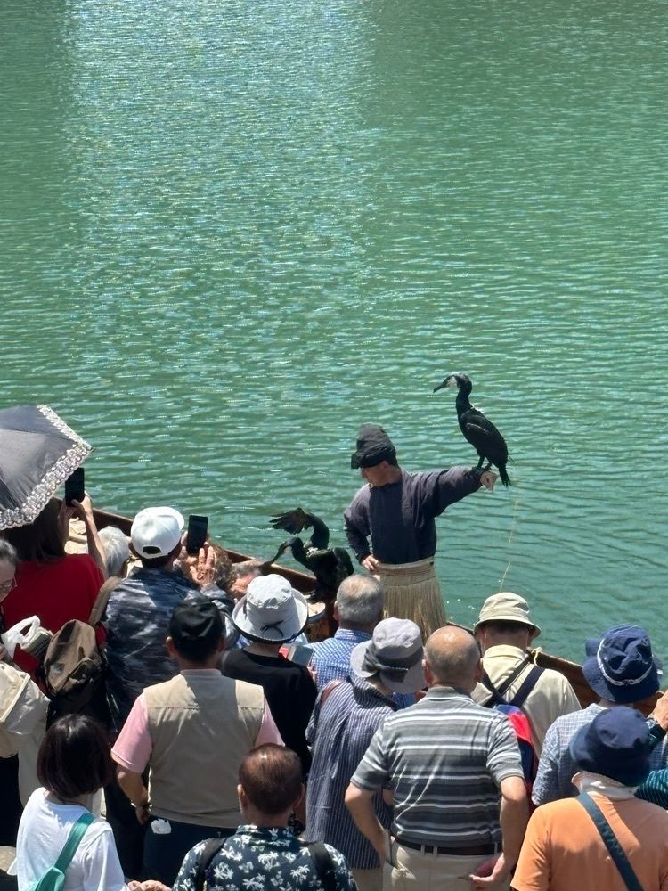 みーなさんが投稿した木曽川鵜飼に関する口コミの画像