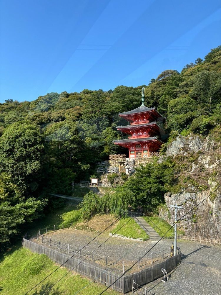 みーなさんが投稿したぎふ金華山リス村に関する口コミの画像