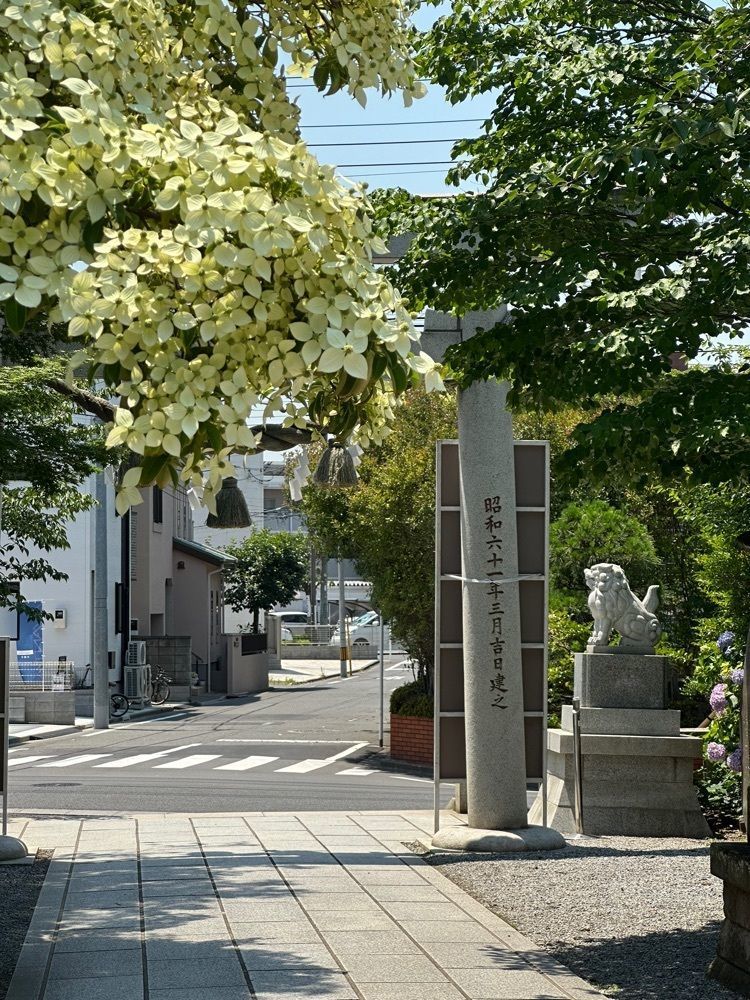 nico☺︎さんが投稿した鎮守氷川神社に関する口コミの画像