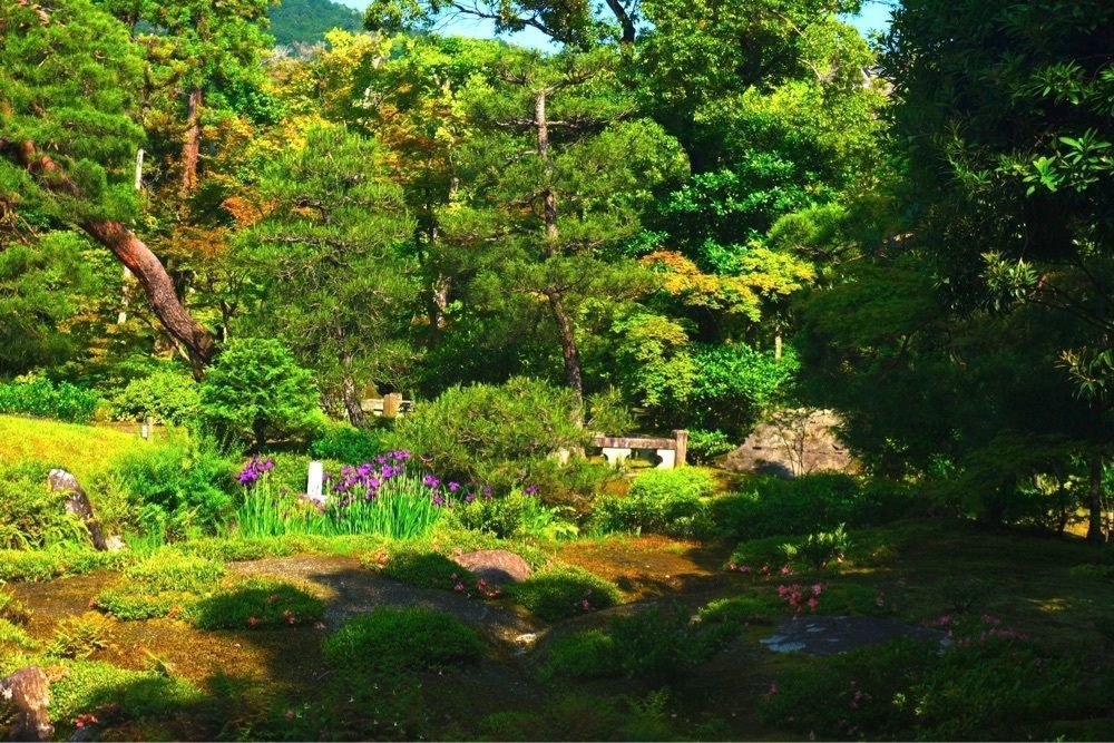 happy_climing_5224さんが投稿した無鄰菴庭園に関する口コミの画像