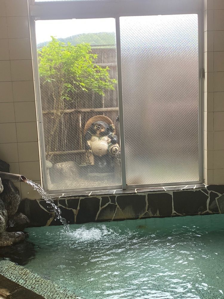 かめ_メグミの画像