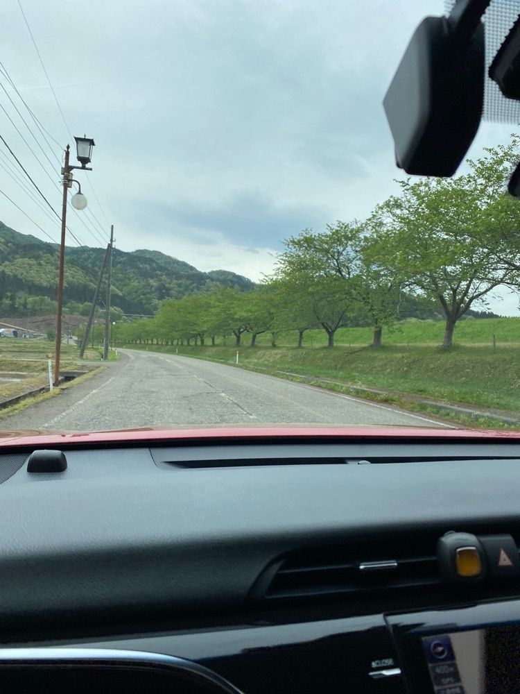 かめ_メグミさんが投稿した高瀬温泉　花みちる宿　ニュー萬力に関する口コミの画像