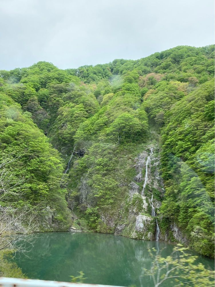 かめ_メグミさんが投稿した高瀬温泉　花みちる宿　ニュー萬力に関する口コミの画像