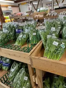旬菜館
