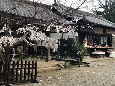 日前神宮・國懸神宮