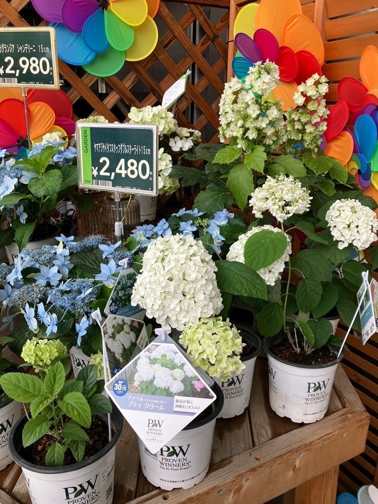 Nさんが投稿したカインズ FC甲府昭和店に関する口コミの画像