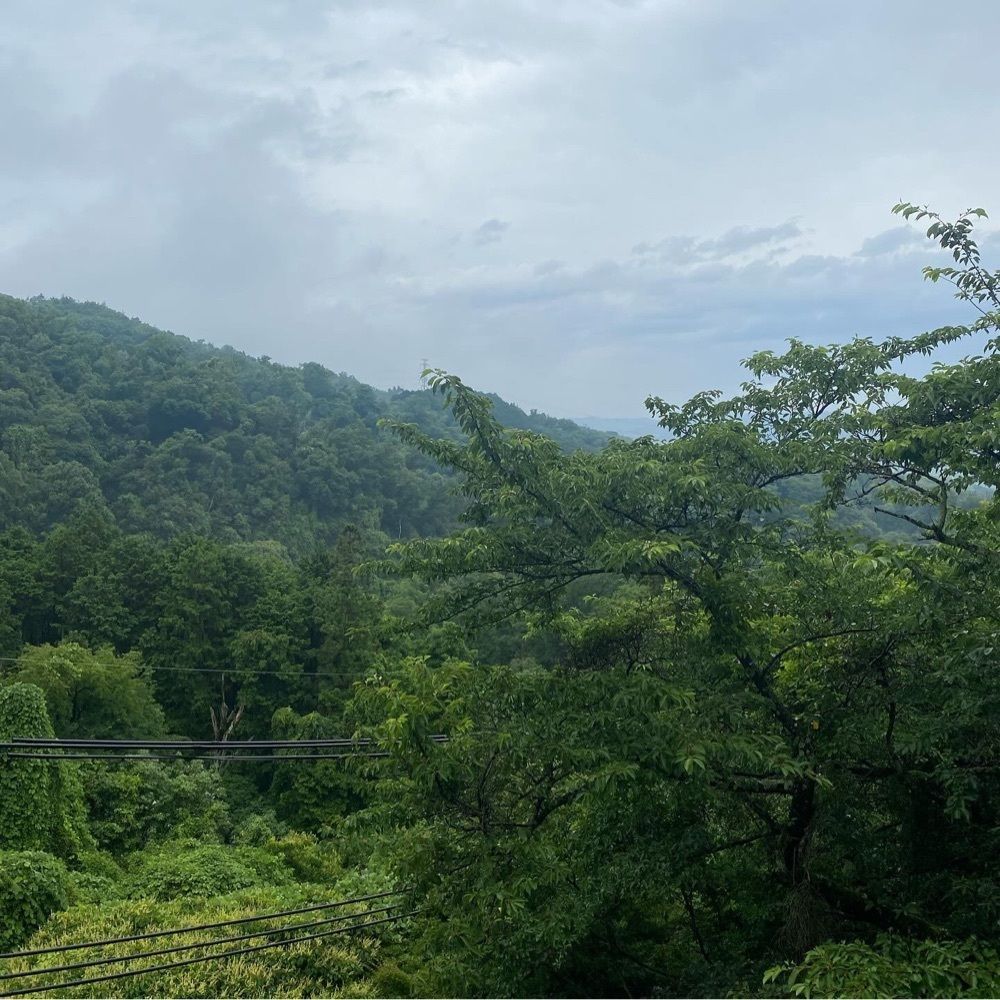 としりん🍄さんが投稿した柿本家に関する口コミの画像
