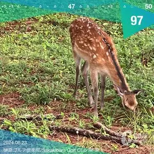 榊原ゴルフ倶楽部