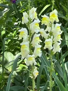 キッチンアリーナ