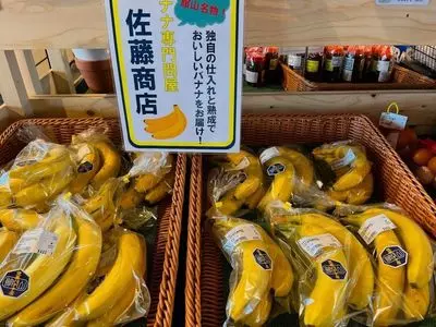 道の駅 グリーンファーム館山（Green Farm Tateyama）