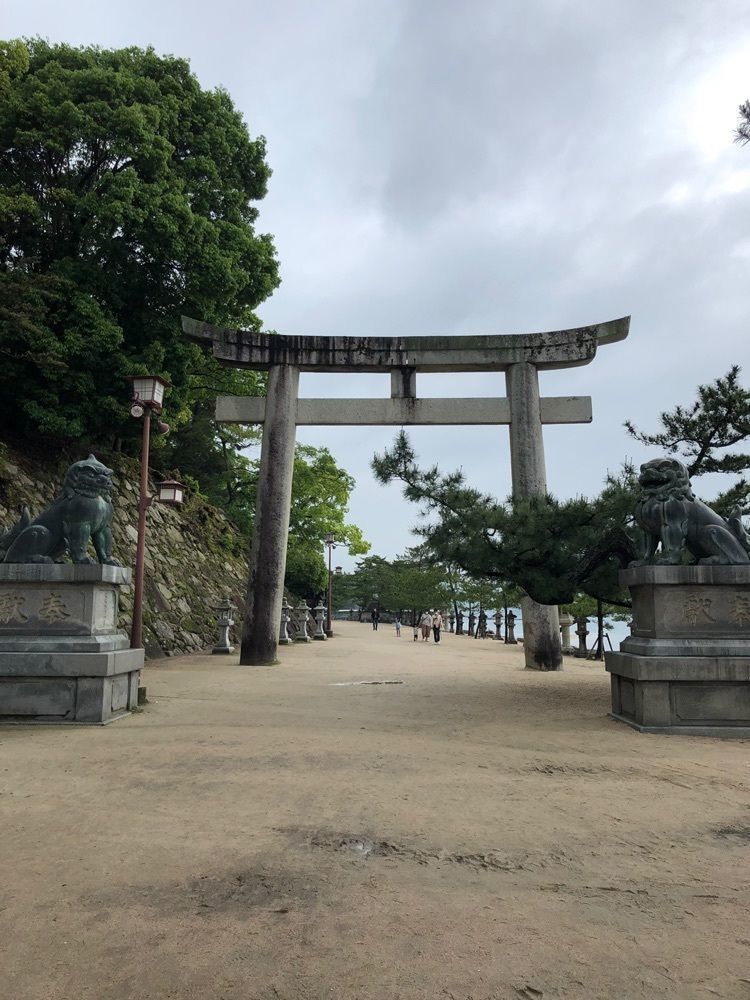 白たぬきさんが投稿した画像の画像
