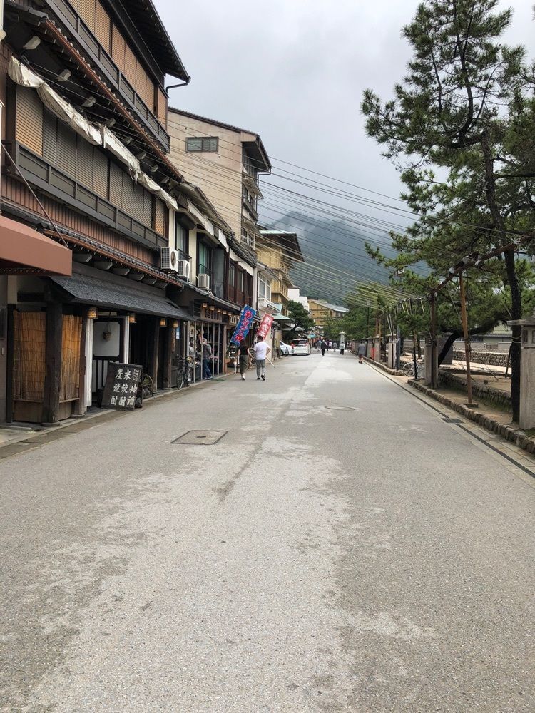 白たぬきさんが投稿した画像の画像
