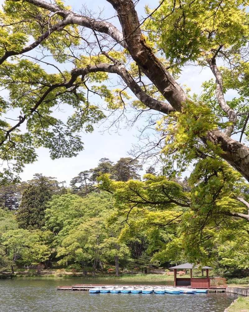 あっけさんが投稿したショウゾウ シラカワ 水辺のコーヒー（SHOZO SHIRAKAWA 水辺のコーヒー）に関する口コミの画像
