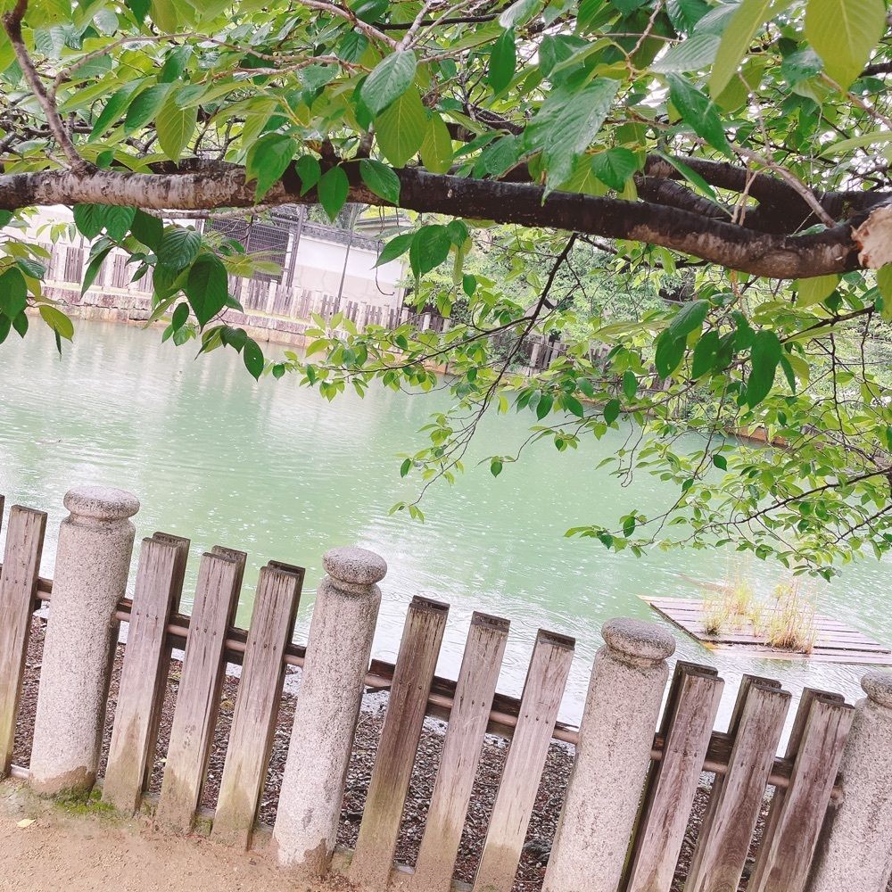 Danjouさんが投稿した天王寺源氏堂 四天王寺参道西門店に関する口コミの画像