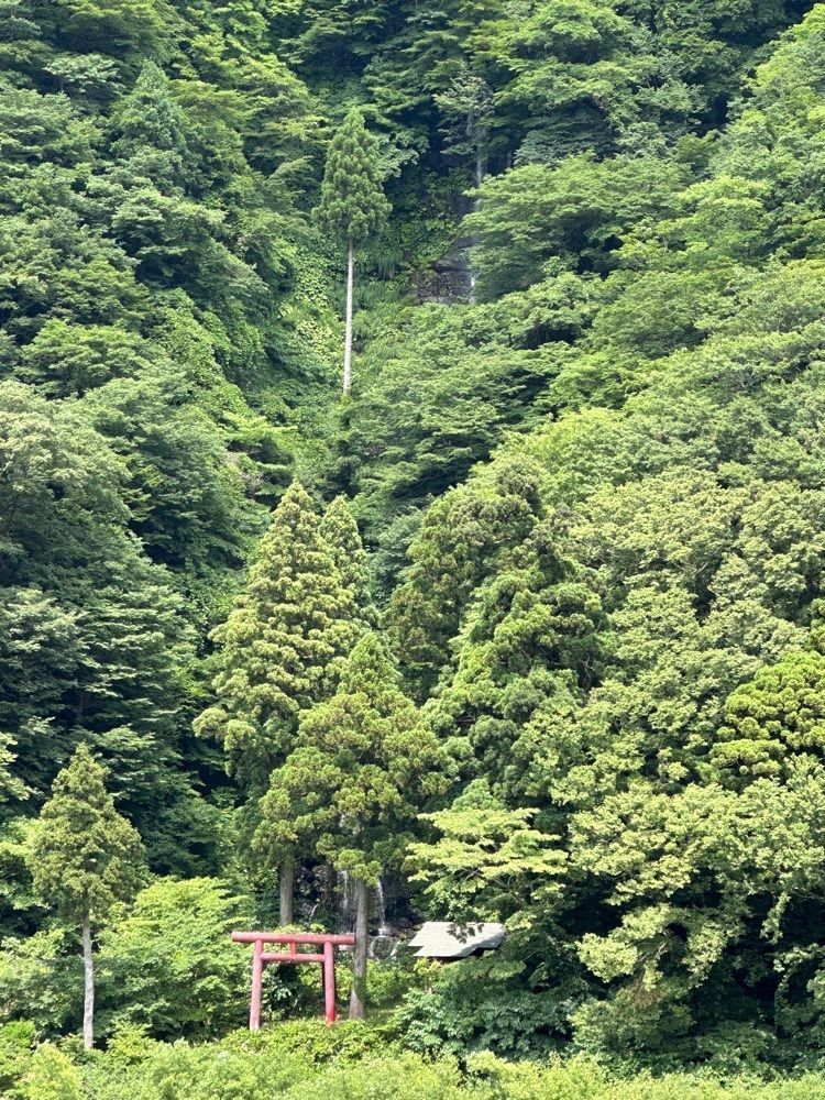 BOM-BA-YEさんが投稿した白糸の滝に関する口コミの画像