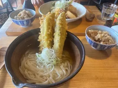 うどんこどん