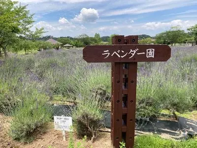 まきばの館