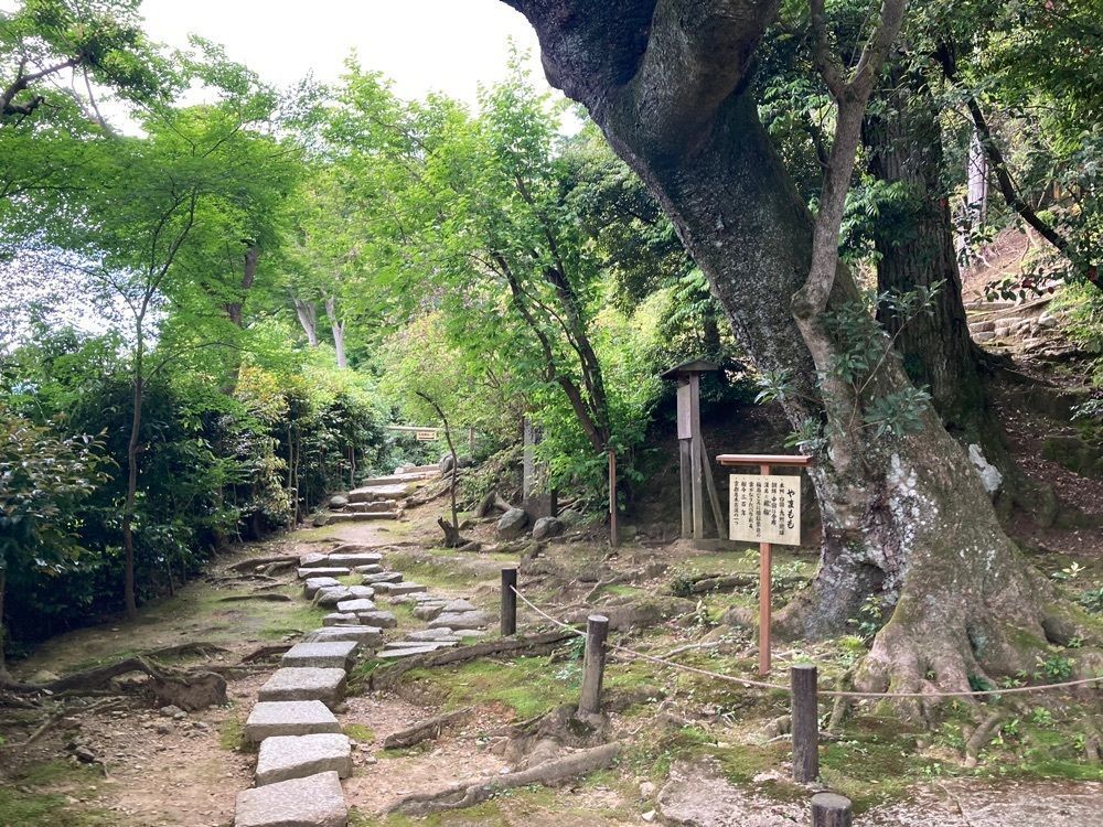 ふみさんが投稿した金福寺（京都府京都市）に関する口コミの画像