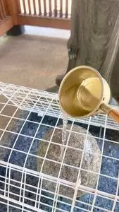永泉寺