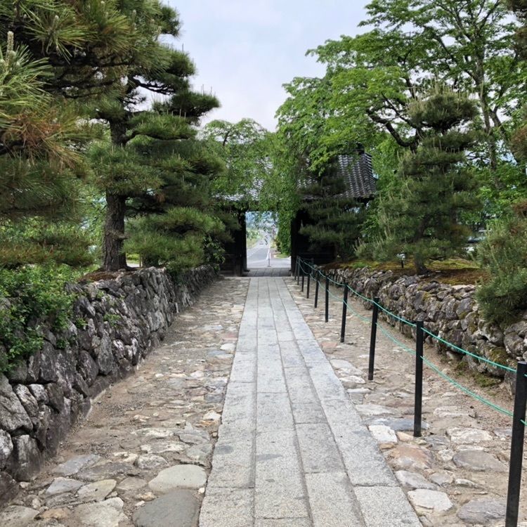 タッキーさんが投稿した光前寺の光苔に関する口コミの画像