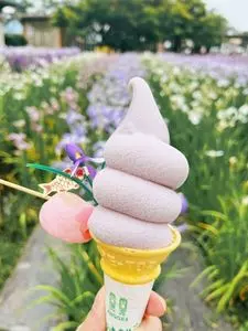 あやめ公園（山形県長井市）