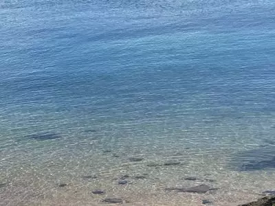 谷茶前の浜碑