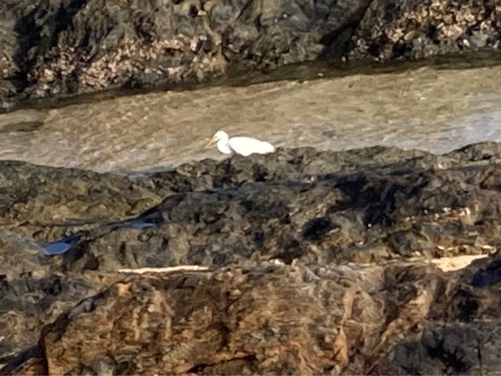 ゴンさんが投稿した谷茶前の浜碑に関する口コミの画像