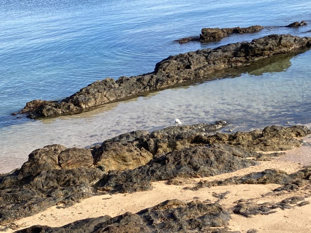 ゴンさんが投稿した谷茶前の浜碑に関する口コミの画像