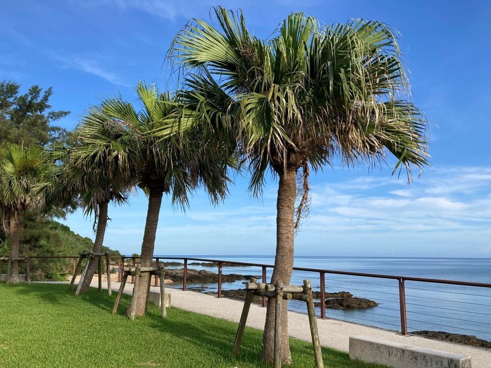 ゴンさんが投稿した谷茶前の浜碑に関する口コミの画像